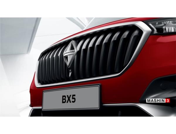  بورگوارد-BX5